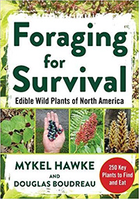 Foraging for Survival